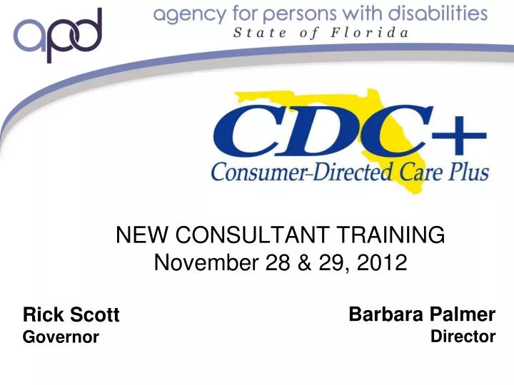 new consultant training november 28 29 2012