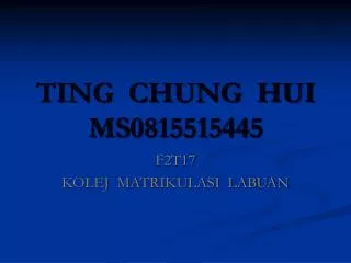 TING CHUNG HUI MS0815515445
