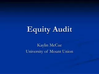 Equity Audit