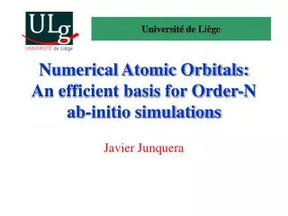 Numerical Atomic Orbitals: An efficient basis for Order-N ab-initio simulations