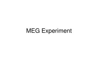 MEG Experiment