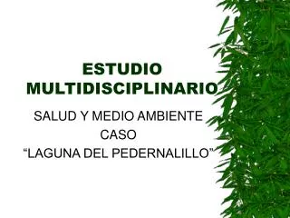 estudio multidisciplinario