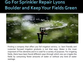 Lawn Sprinkler System Boulder