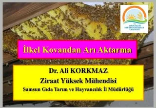 lkel kovandan ar aktarma