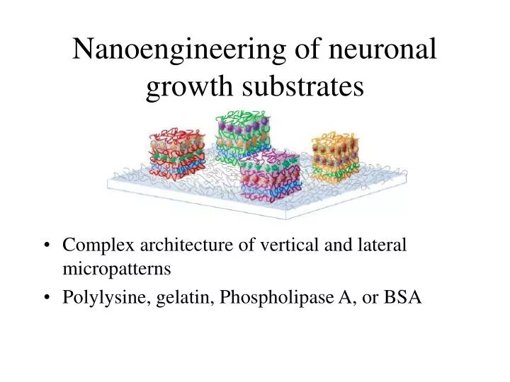 nanoengineering of neuronal growth substrates