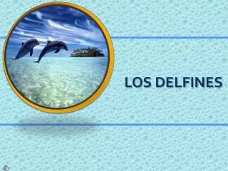 los delfines