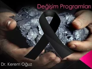 de i im programlar