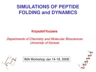 SIMULATIONS OF PEPTIDE FOLDING and DYNAMICS