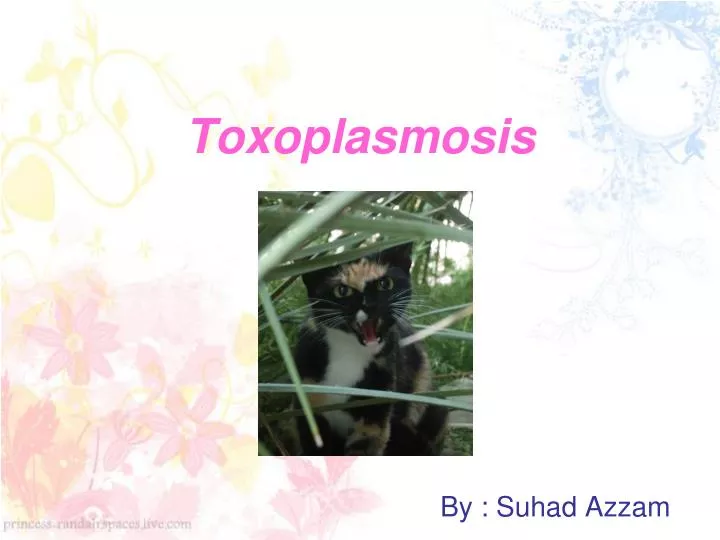 toxoplasmosis