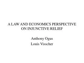 A LAW AND ECONOMICS PERSPECTIVE ON INJUNCTIVE RELIEF