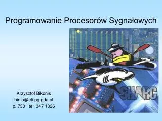 programowanie procesor w sygna owych