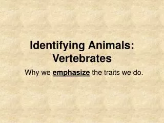 Identifying Animals: Vertebrates