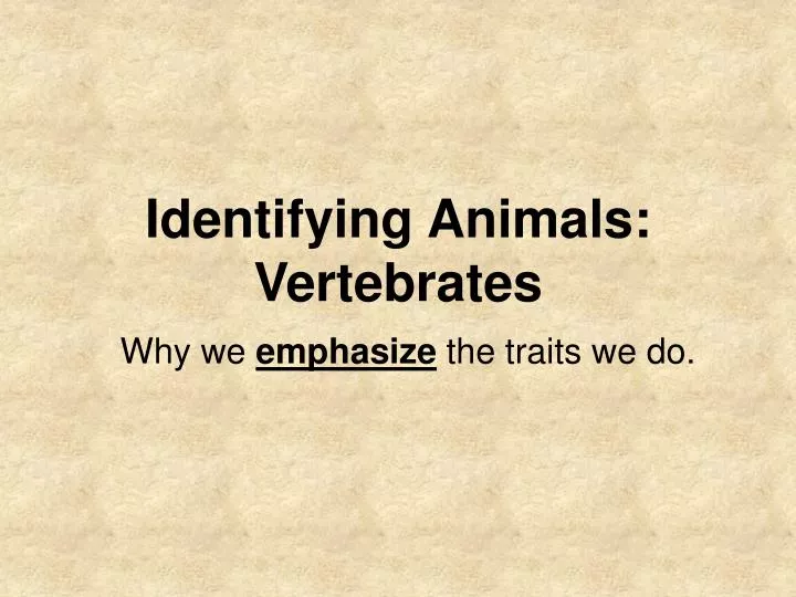 identifying animals vertebrates