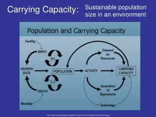 Carrying Capacity: