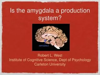 Is the amygdala a production system?