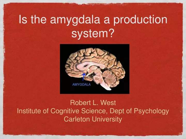 is the amygdala a production system