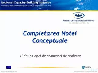 completarea notei conceptuale