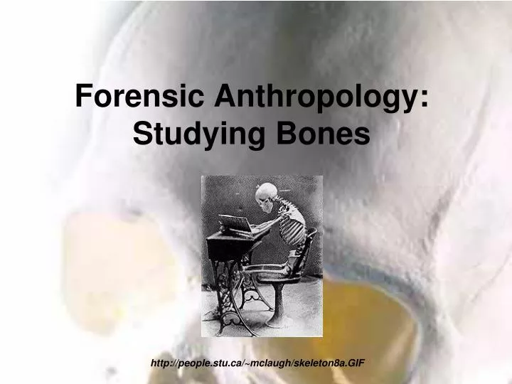 forensic anthropology studying bones