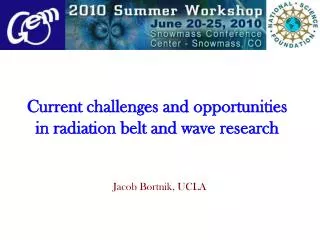 Current challenges and opportunities in radiation belt and wave research