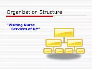 Organization Structure