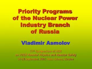 Priority Programs of the Nuclear Power Industry Branch of Russia