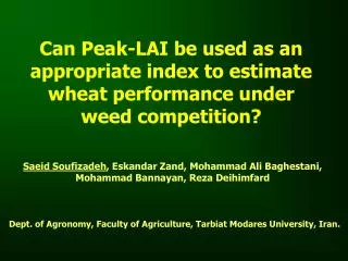 Can Peak-LAI be used as an appropriate index to estimate wheat performance under weed competition?