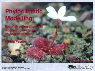 Phyloclimatic Modelling: