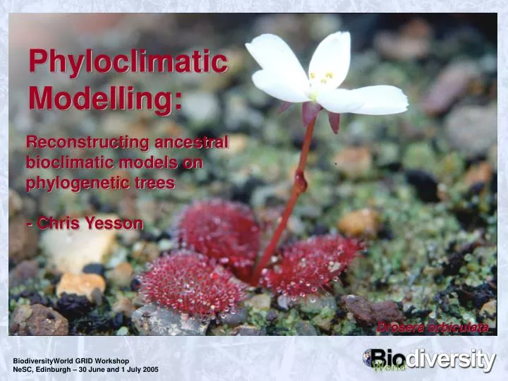 phyloclimatic modelling