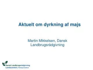 aktuelt om dyrkning af majs