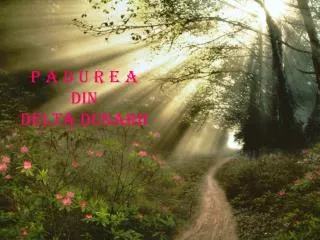p a d u r e a din delta dunarii