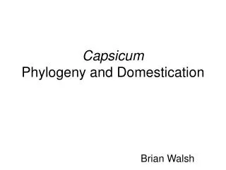 Capsicum Phylogeny and Domestication