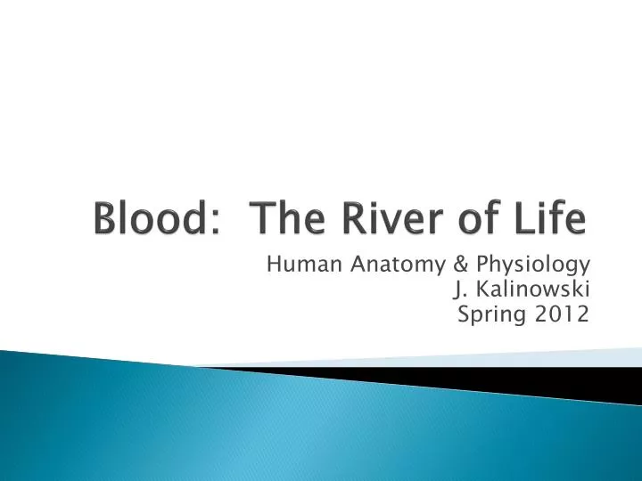 blood the river of life