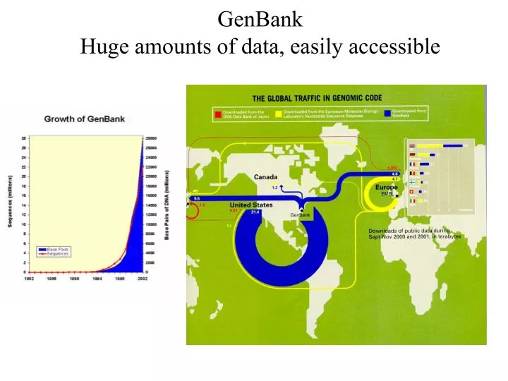 genbank huge amounts of data easily accessible