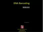 DNA Barcoding - slide 1