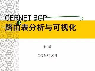 cernet bgp