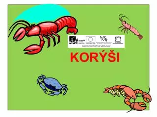 kor i