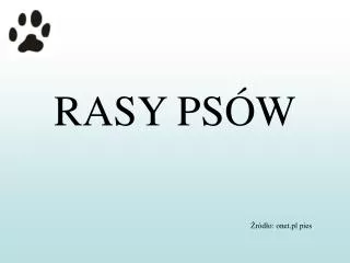 rasy ps w