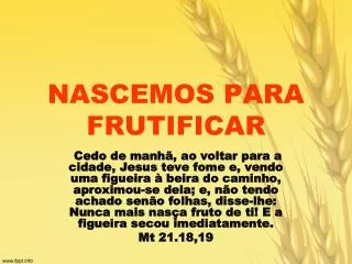 nascemos para frutificar