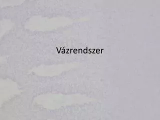 v zrendszer
