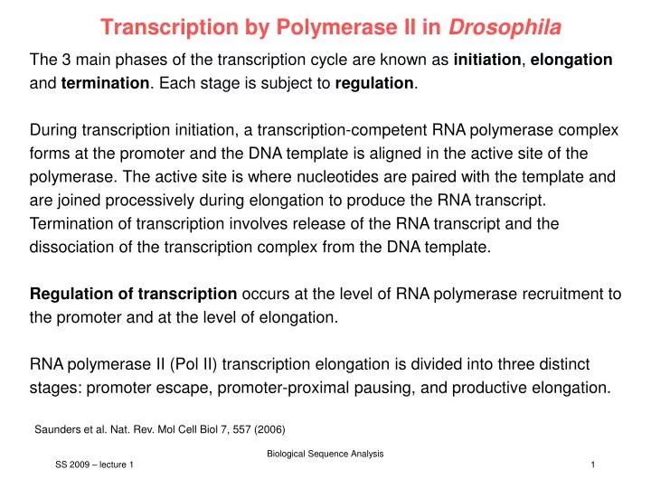 transcription by polymerase ii in drosophila