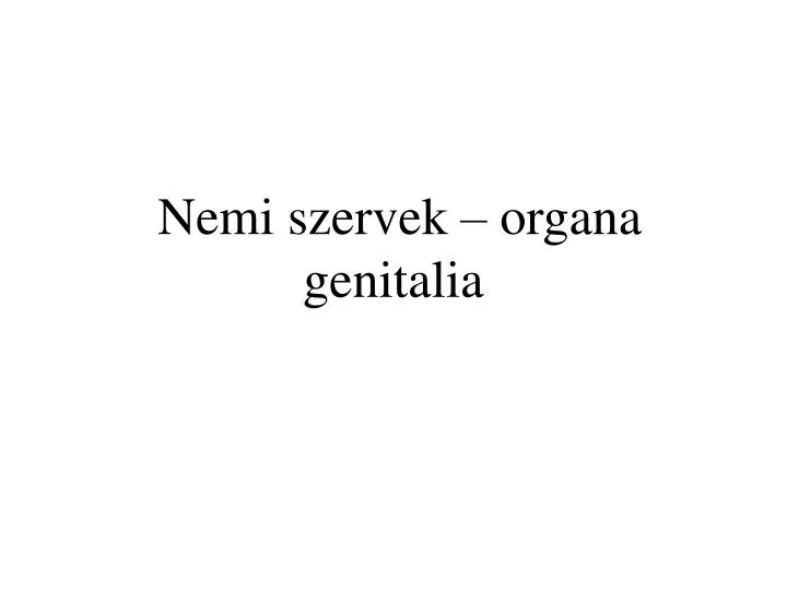 nemi szervek organa genitalia