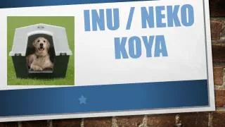 inu neko koya