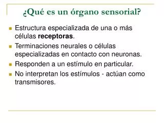 qu es un rgano sensorial