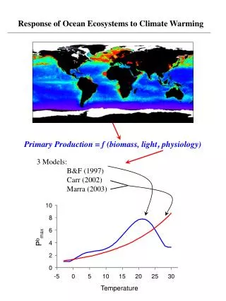 Response of Ocean Ecosystems to Climate Warming