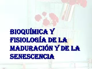 bioqu mica y fisiolog a de la maduraci n y de la senescencia