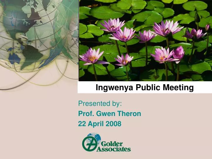 ingwenya public meeting