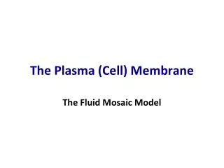 The Plasma (Cell) Membrane
