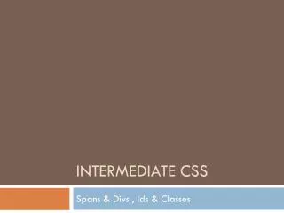Intermediate CSS