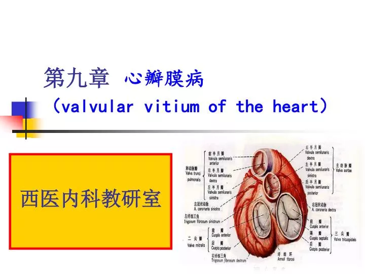 valvular vitium of the heart