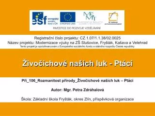 ivo ichov na ich luk pt ci